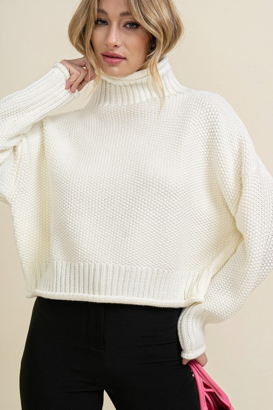 DOLMAN SLEEVE TURTLENECK SWEATER