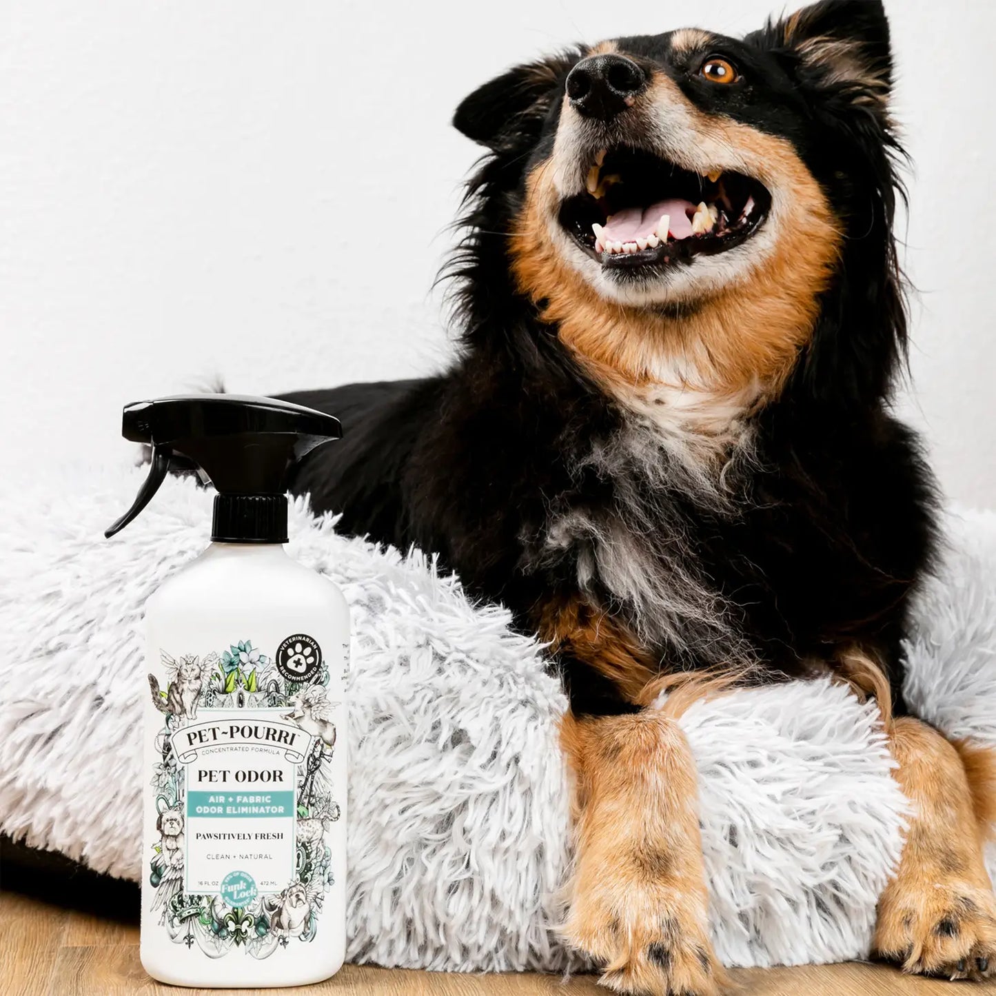 PET-POURRI