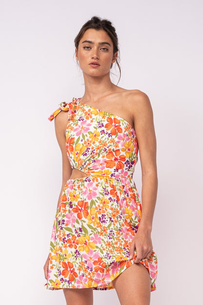 CRUSH ON YOU DRESS